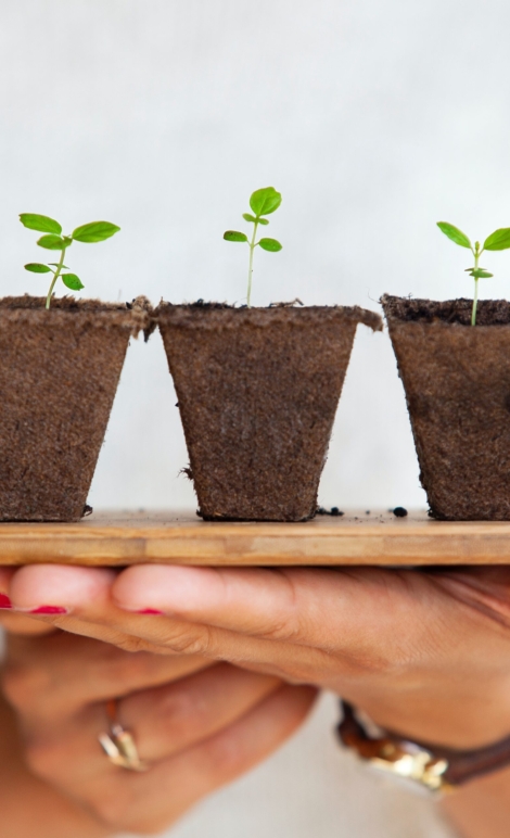 daniel-oberg-sEApBUS4fIk-unsplash