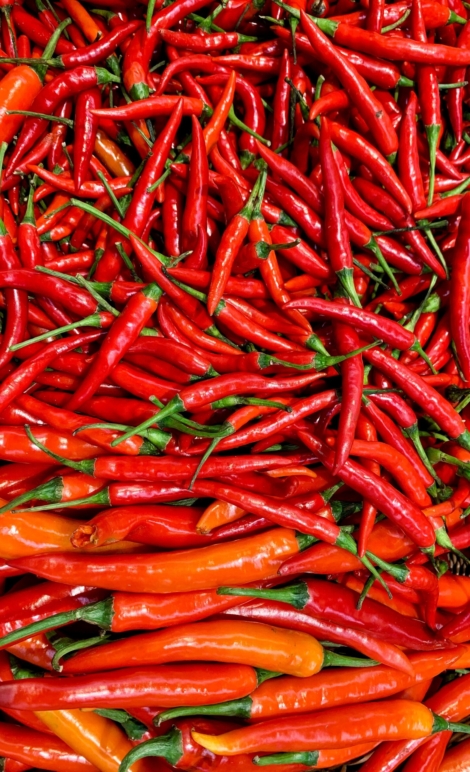 shane-kong-dDI3pSF-yK4-unsplash