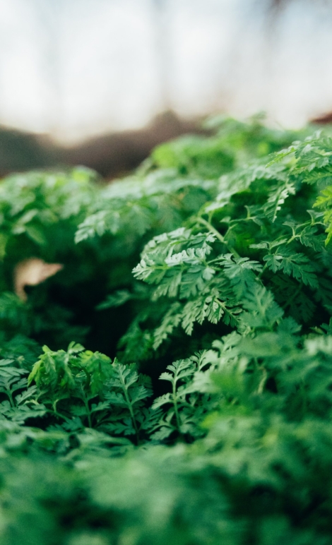 daan-stevens-57Zvh2FZMRk-unsplash