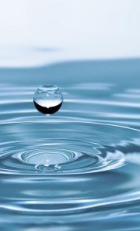 air nutrisi hidroponik