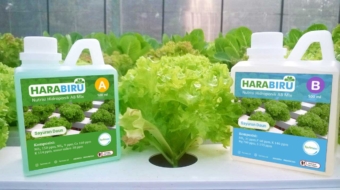 Harabiru-sayur-foto-produk-edit-small
